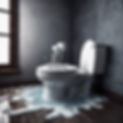 a toilet overflowing with water.jpg