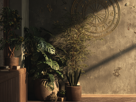 Deinen inneren Nordstern finden. Wie Astrologie dir hilft, deinen Lebensweg und deine Berufung zu verstehen.