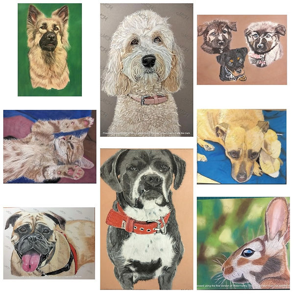 Art, pet services