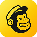 MailChimp Email icon