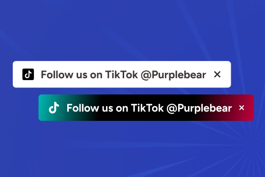TikTok Follow banner