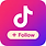TikTok Follow icon