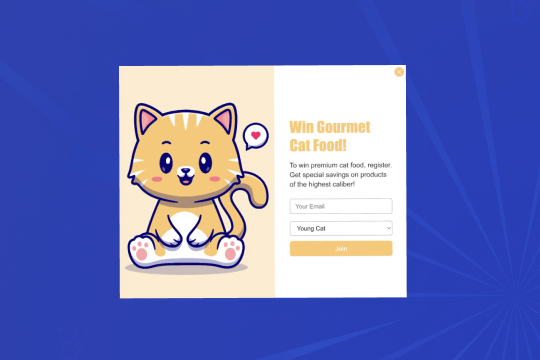 MailChimp Newsletter banner