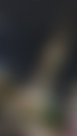 ニコニコ町会議in名古屋2016