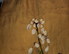 detalle "Ay Almendro"