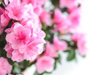 Did I send a thoughtless gift to my friend with cancer?