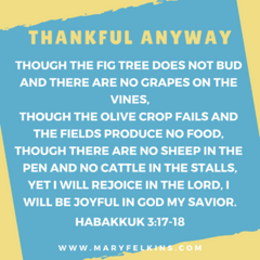 Default Response: Thanksgiving.