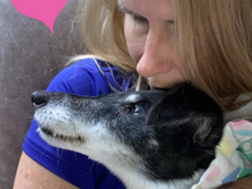 Dominion Over the Animals: A Tribute to Dottie