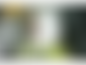 ARTIST SPOTLIGHT - Noir