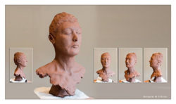 Sculpt 1