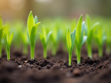 Planting Seeds of Renewal: Join Us for a Special Earth Day Enrichment in Edinboro
