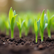 Planting Seeds of Renewal: Join Us for a Special Earth Day Enrichment in Edinboro