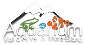 Logo AVAMB2020fdbc.png