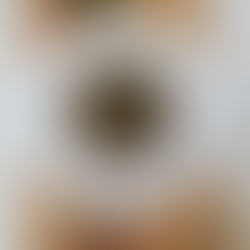 Assiette creuse blanche avec des lentilles aux champignons sur une planche en bois avec quelques tas de lentilles blondes et quelques tas de clous de girofle