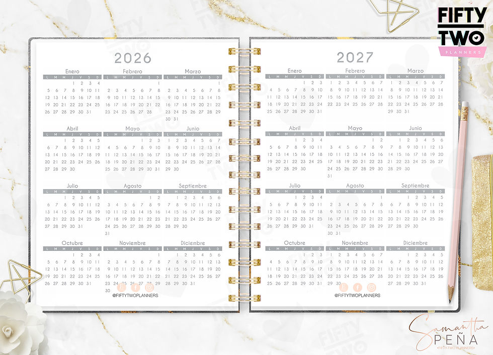 Miniatura: Gris Ejecutiva 2026