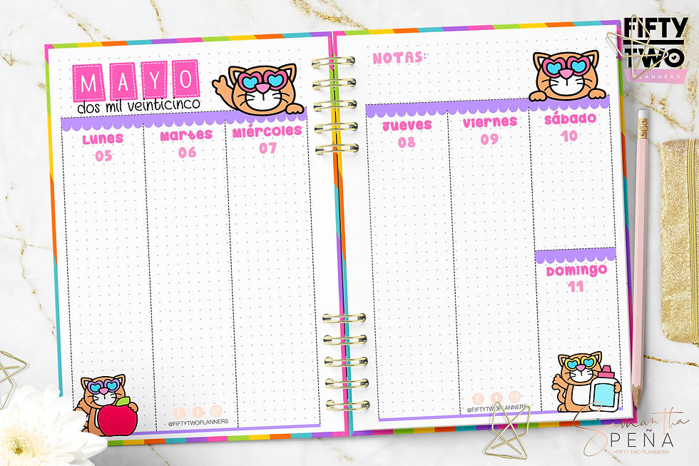 Miniatura: Agenda Cool Cat Teacher