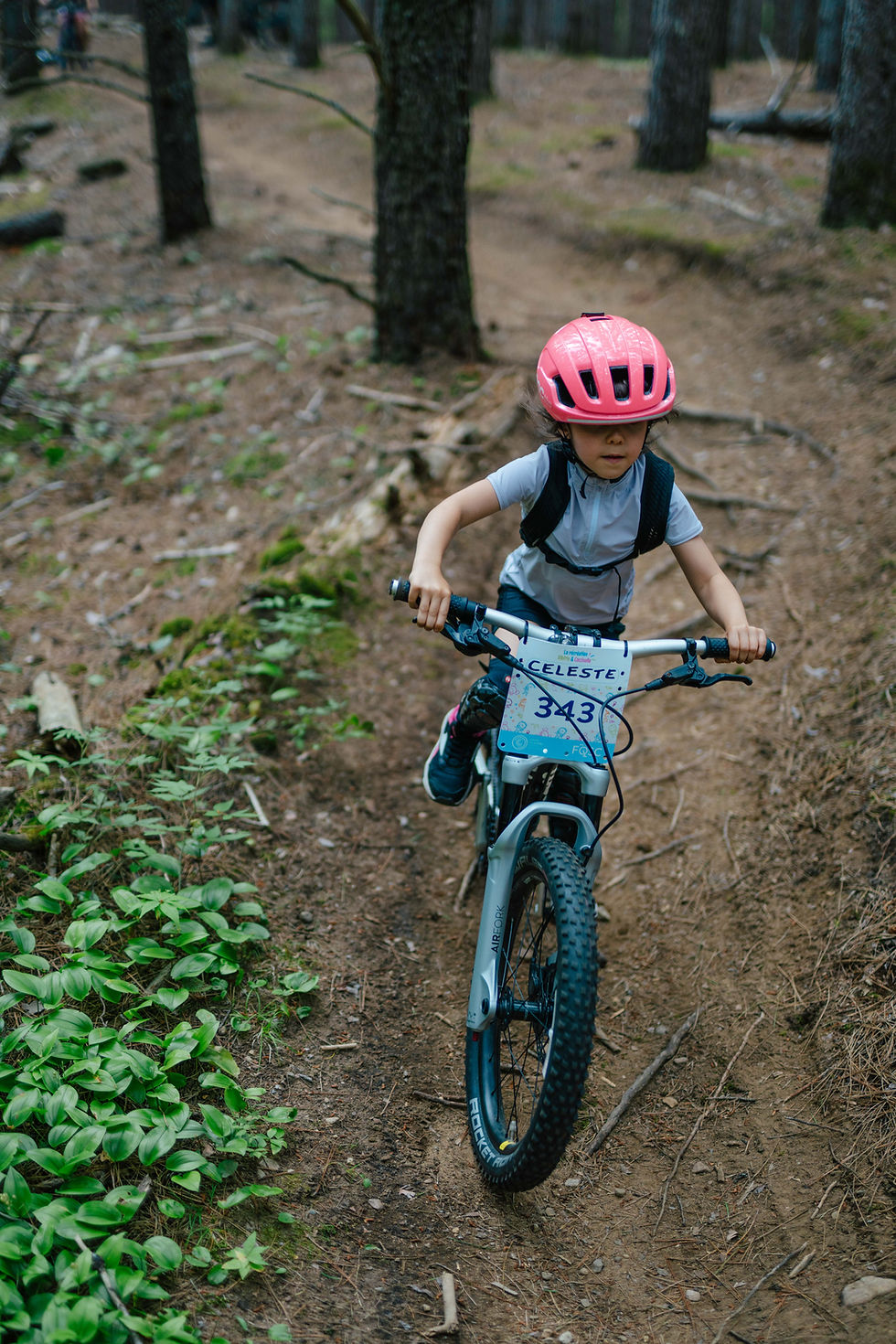 Miniature : Groupe Bibittes