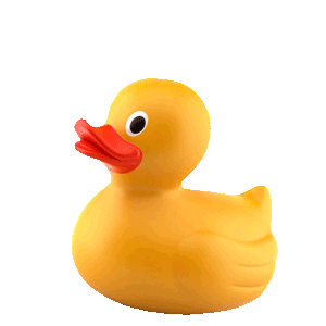 duckygif.gif