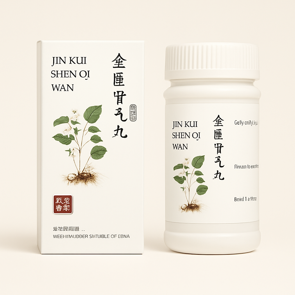 Jin Kui Shen Qi Wan