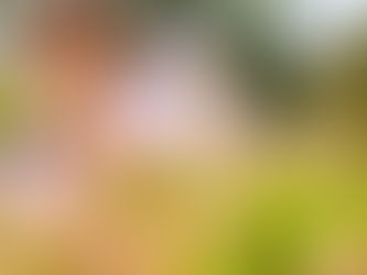 Chinese Medicine for Hay Fever -Natural & Effective.