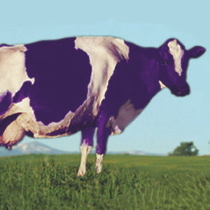 Thumbnail: Purple Cow: Transform Your Business by Being Remarkable with special contribution titled "Hello Health" by Dr. Elizabeth Teklinski