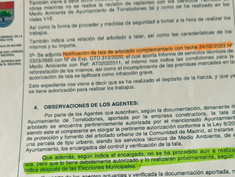 Vecinos por Torrelodones retrasó la tala de árboles en Las Marías hasta después de las elecciones para culpar al PP