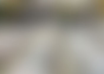 La subasta de atún en Tsukiji