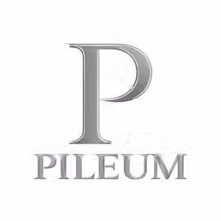 logo pileum