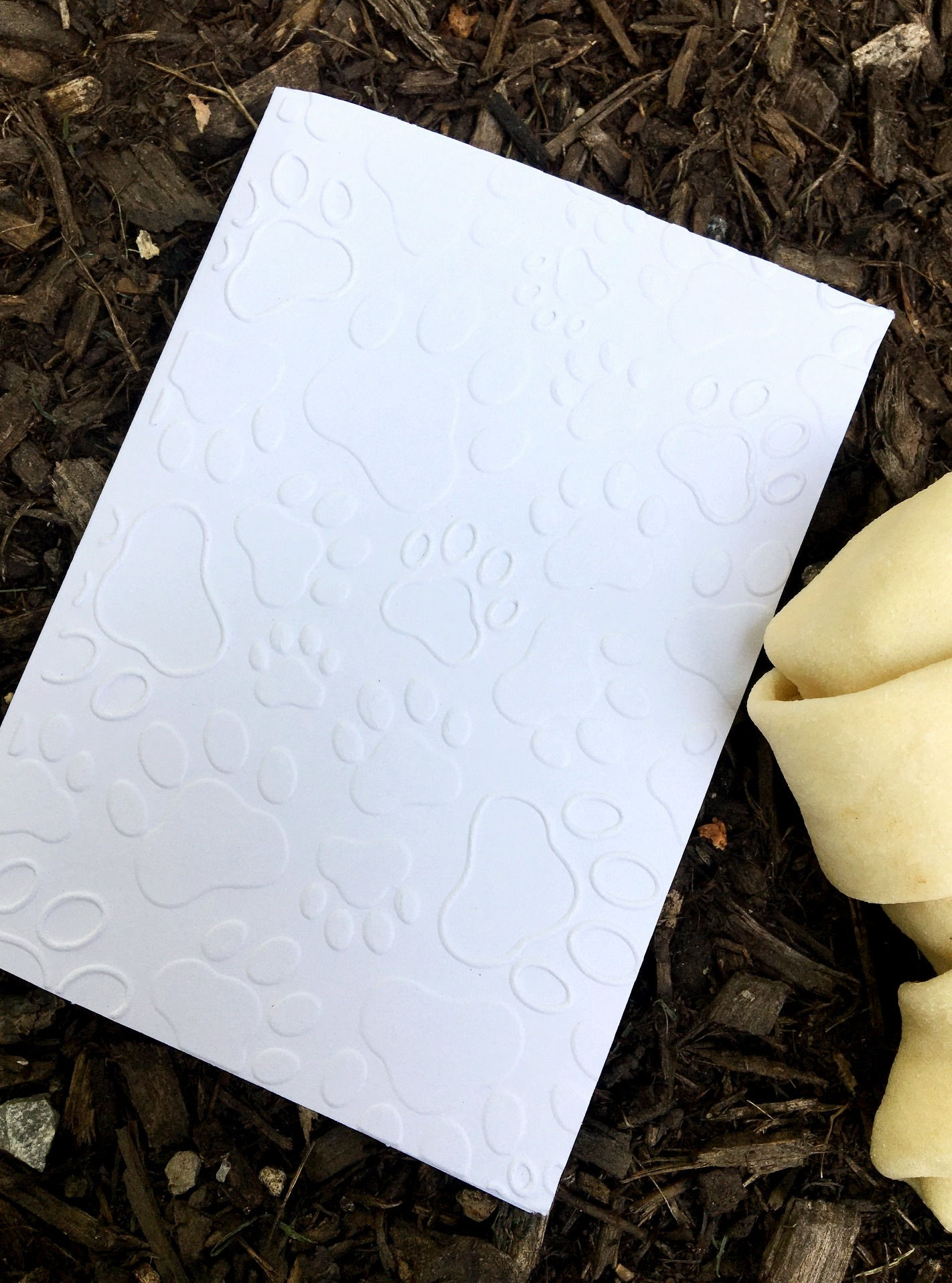 Paw Print Embossed Note Cards