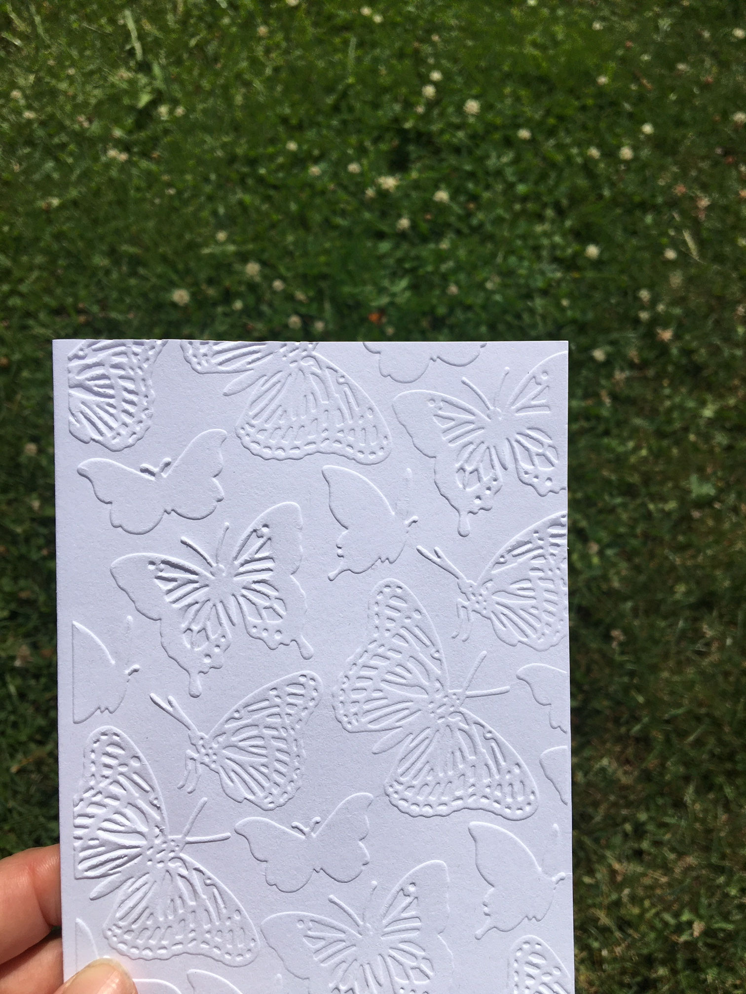 Butterflies Embossed Note Cards