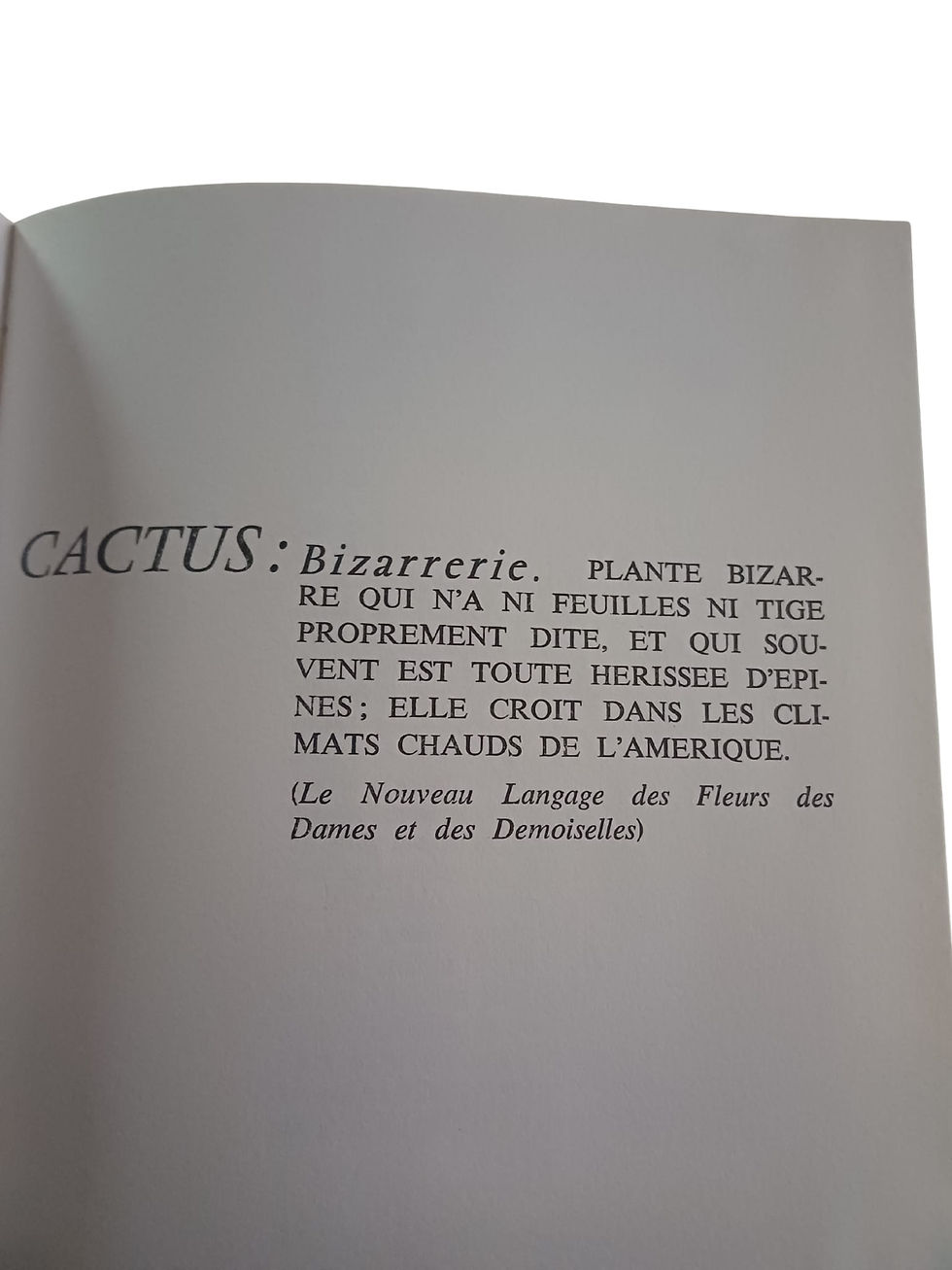 Miniature : Célébration du Cactus