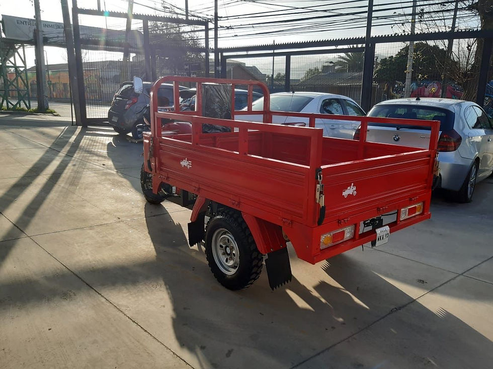 Miniatura: Dongben DB200ZH