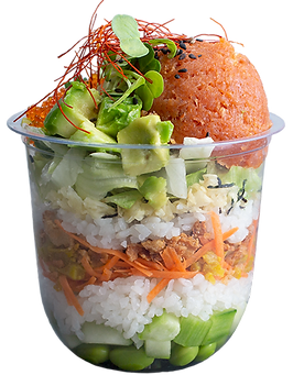Mini Spicy Tuna_web.png