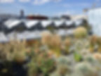 Jardins suspendu Inspiration