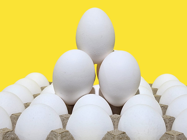 Untitled design (10).png