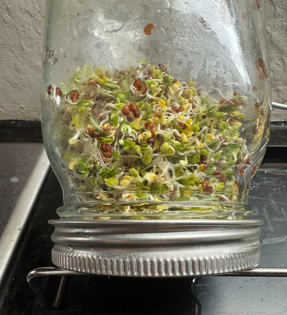 The Power of Sulforaphane for Liver Health and Detoxification