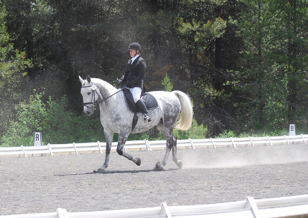 DSC_0055_edited