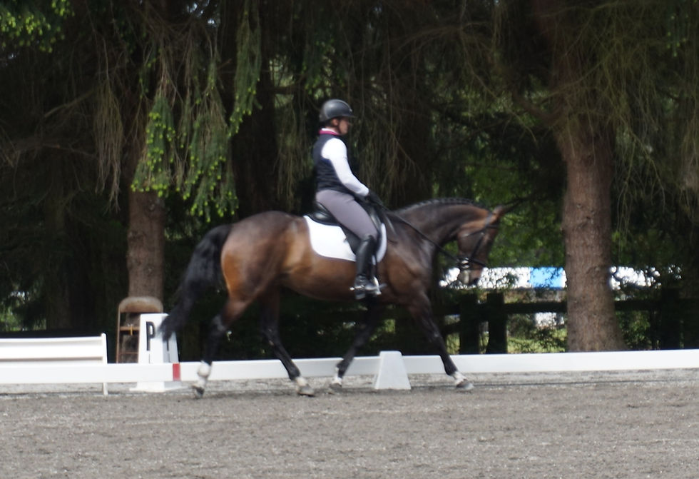 DSC00630_edited