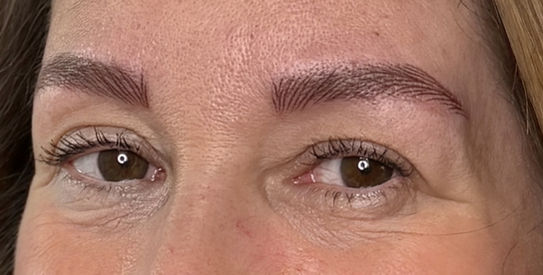 Wat kosten Nanobrows