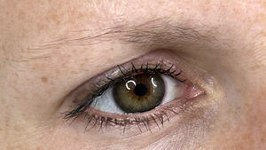 nanobrows-weinig wenkbrauwhaar