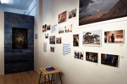 toz artist run space