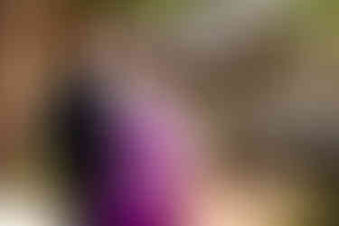 bride in purple dress and groom