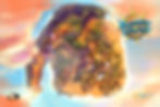 ButterflyIsland Map Concept