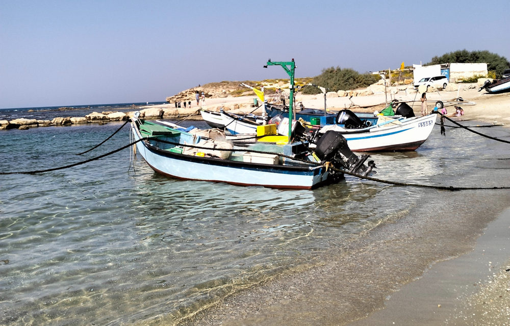 נחל התנינים וכפר הדייגים בגיסר אזרקא מסלול טיול מושלם — ענת גרוס לאור