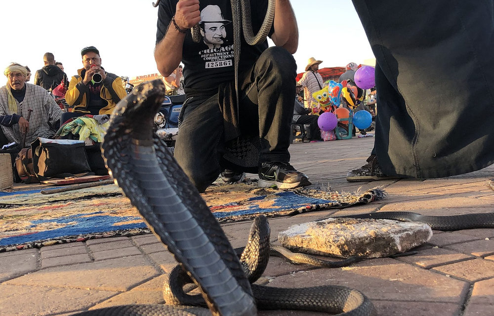קזבלנקה מרוקו שווקים וקניות — ענת גרוס לאור