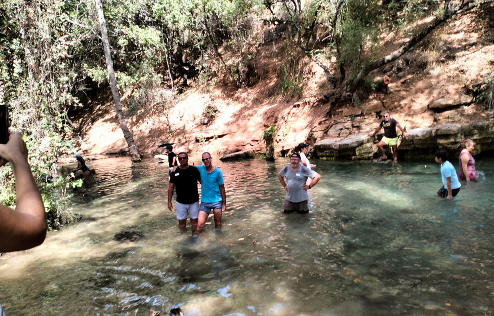 טיול בעין חרדלית וכפר ג'ת בצפון הארץ — ענת גרוס לאור