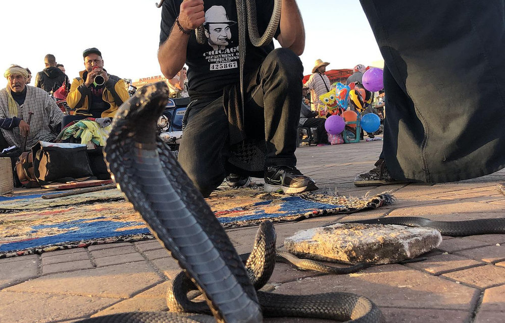 וורזאזאת (Ouarzazate) עיר הסרטים של מרוקו — ענת גרוס לאור
