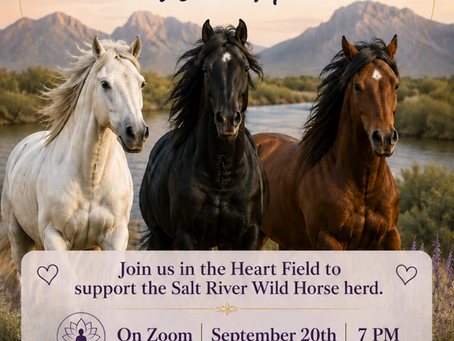 CO-CREATING with Wild Horses and Nature in the HeartSpace