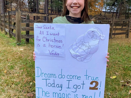 A Christmas Dream Come True!
