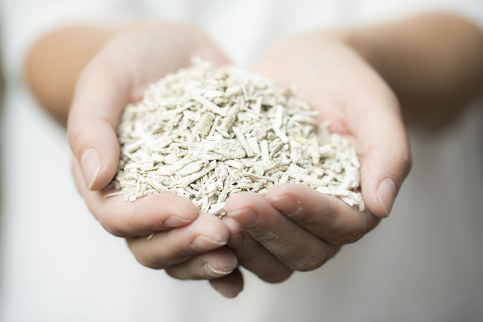 Hempcrete shreds in a female hand.jpg
